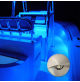 HALF MOON STAINLESS STEEL LED COURTESY LIGHT- 12 Volts - 1 Watt - IP67 - Available color: Blue / white or warm white - WK-SS1SPX - AZLED